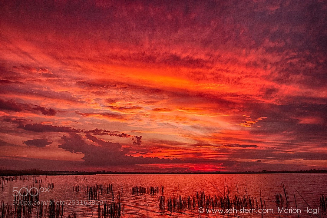 Canon EOS 10D sample photo. Burning sky photography