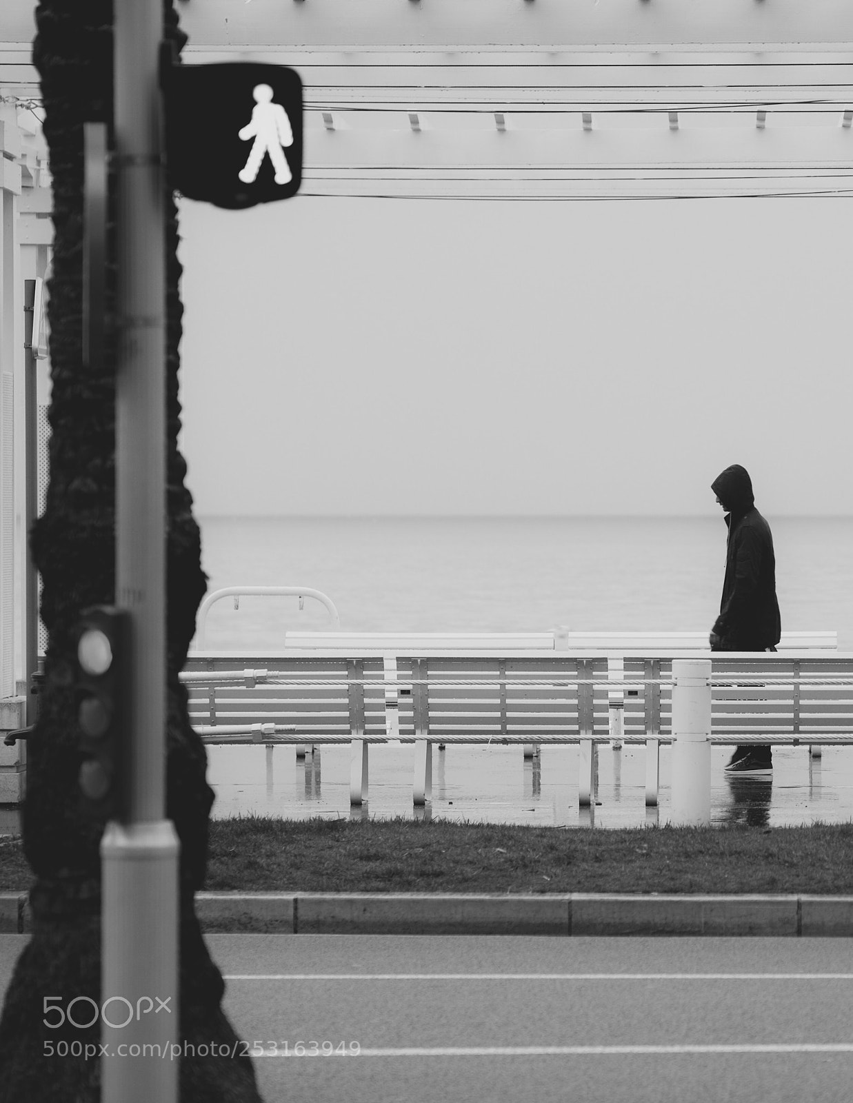 Fujifilm X-T10 sample photo. Walk photography