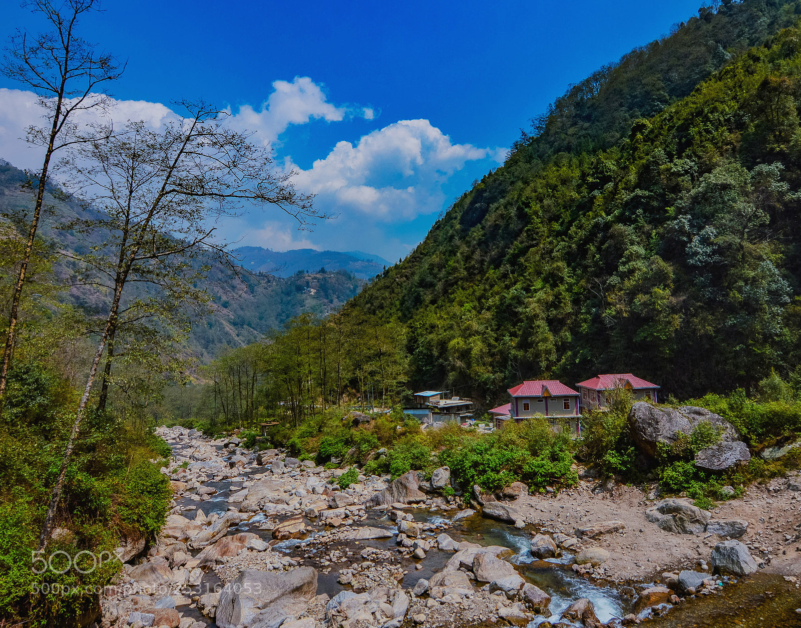 Nikon D3200 sample photo. Sepi valley photography