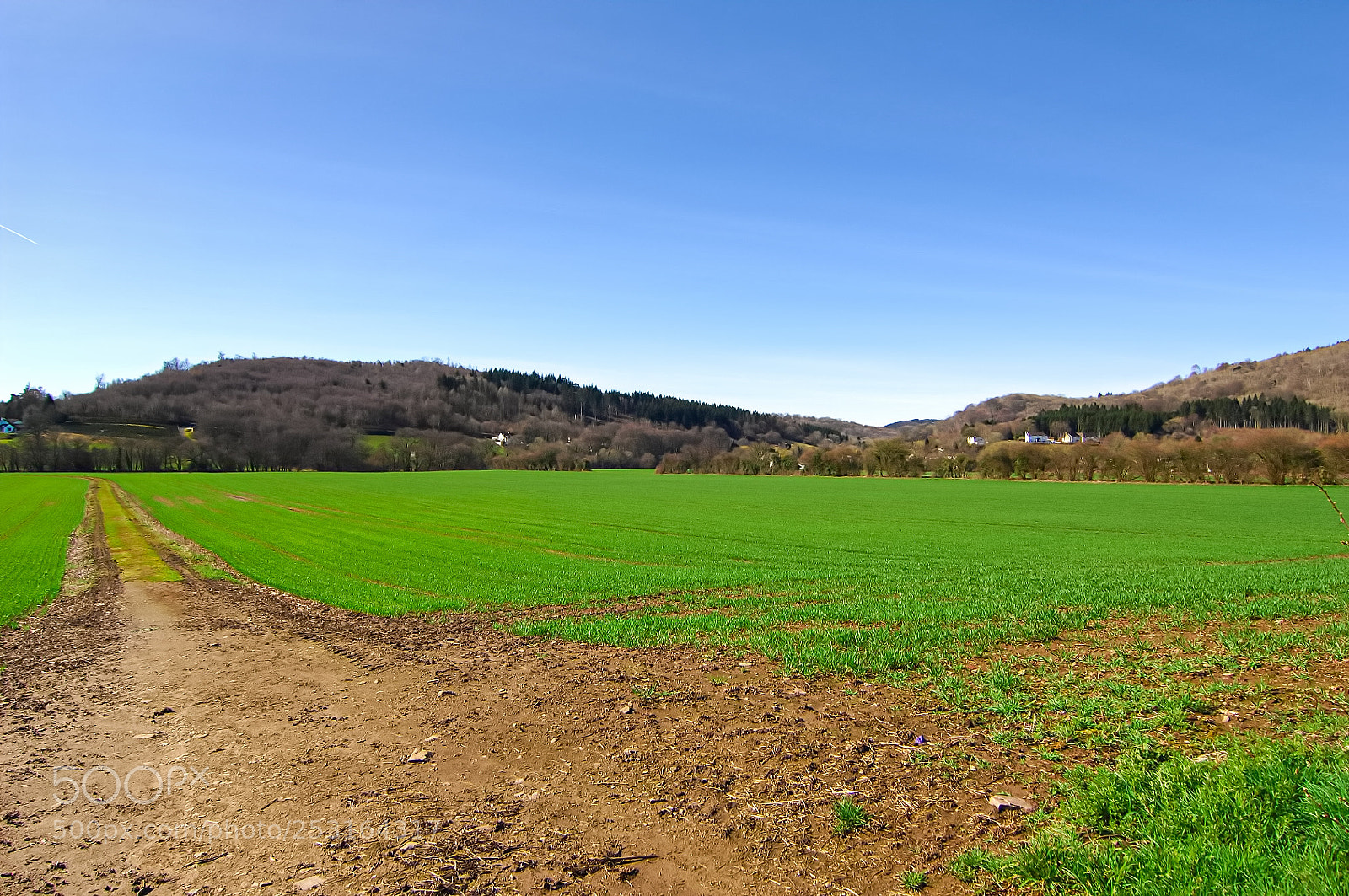 Nikon D2X sample photo. Farmers field photography