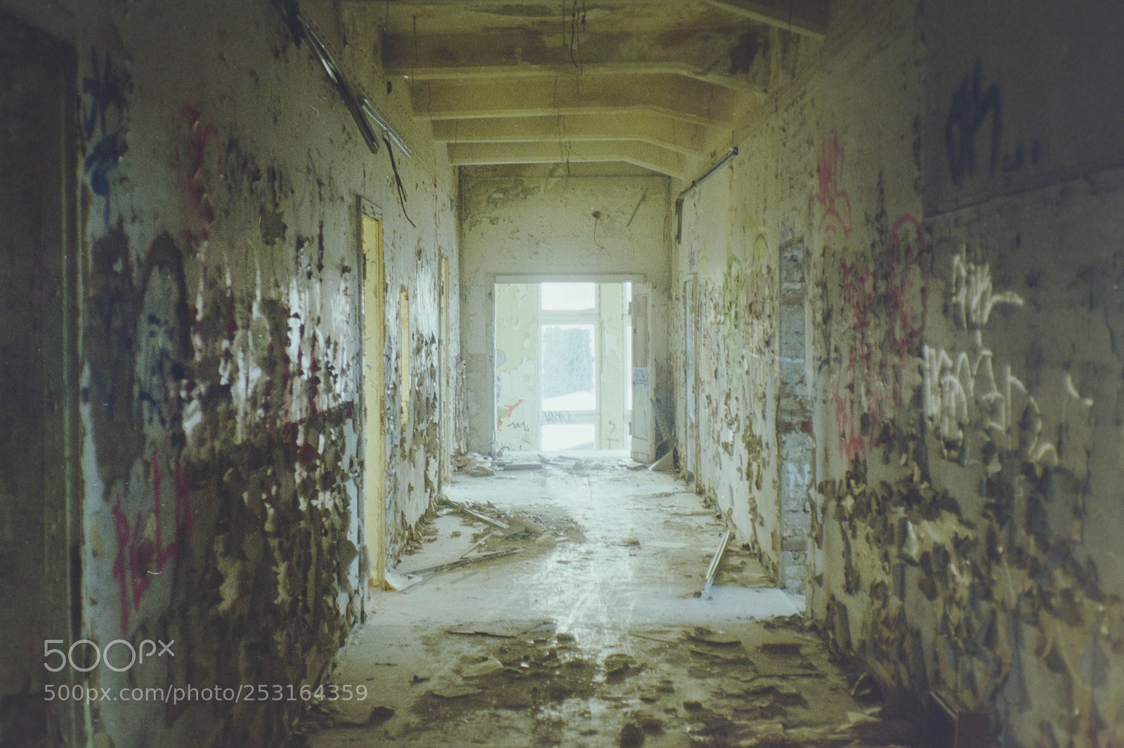 Nikon D3100 sample photo. Ruin photography