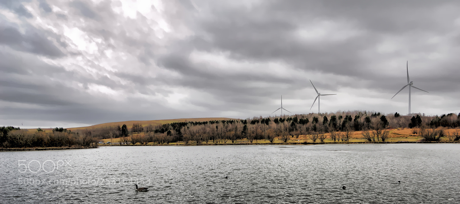 Nikon D2X sample photo. Lakeside and turbines photography