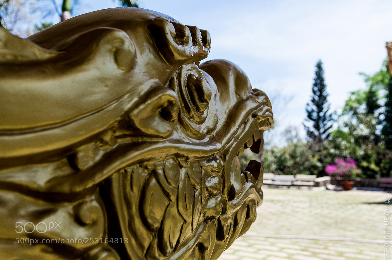 Pentax K-30 sample photo. Dragon photography