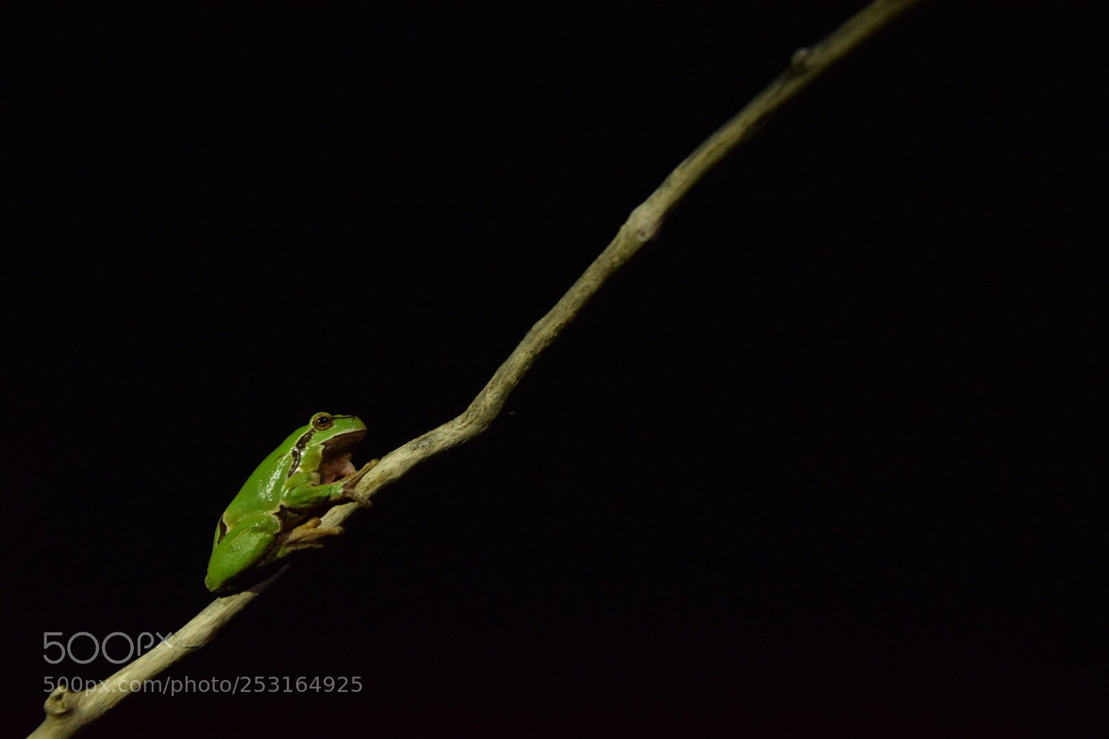 Nikon D5300 sample photo. Untitled photography