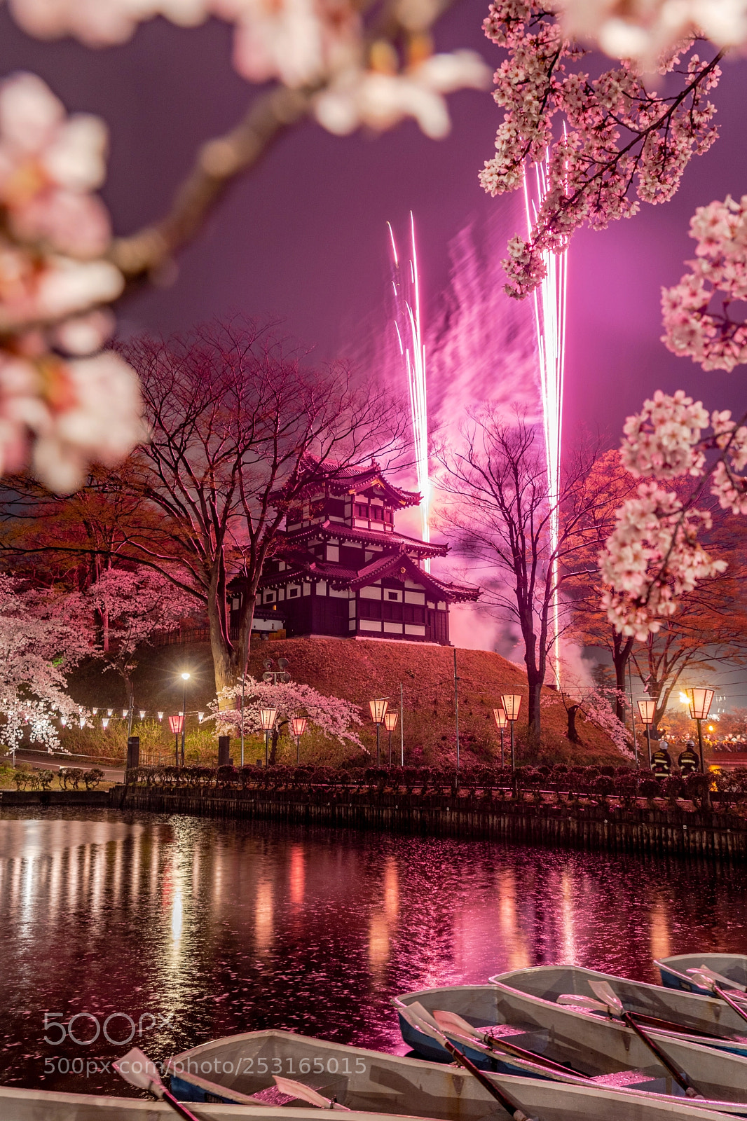 Sony a7 III sample photo. Blossom fireworks photography