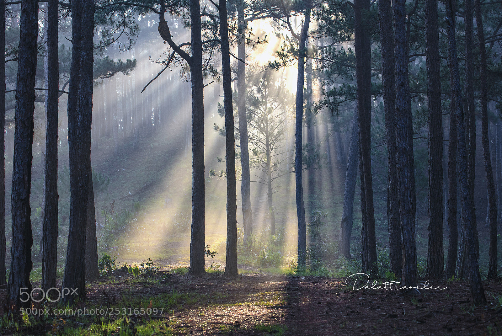 Canon EOS 5DS R sample photo. Magic light photography