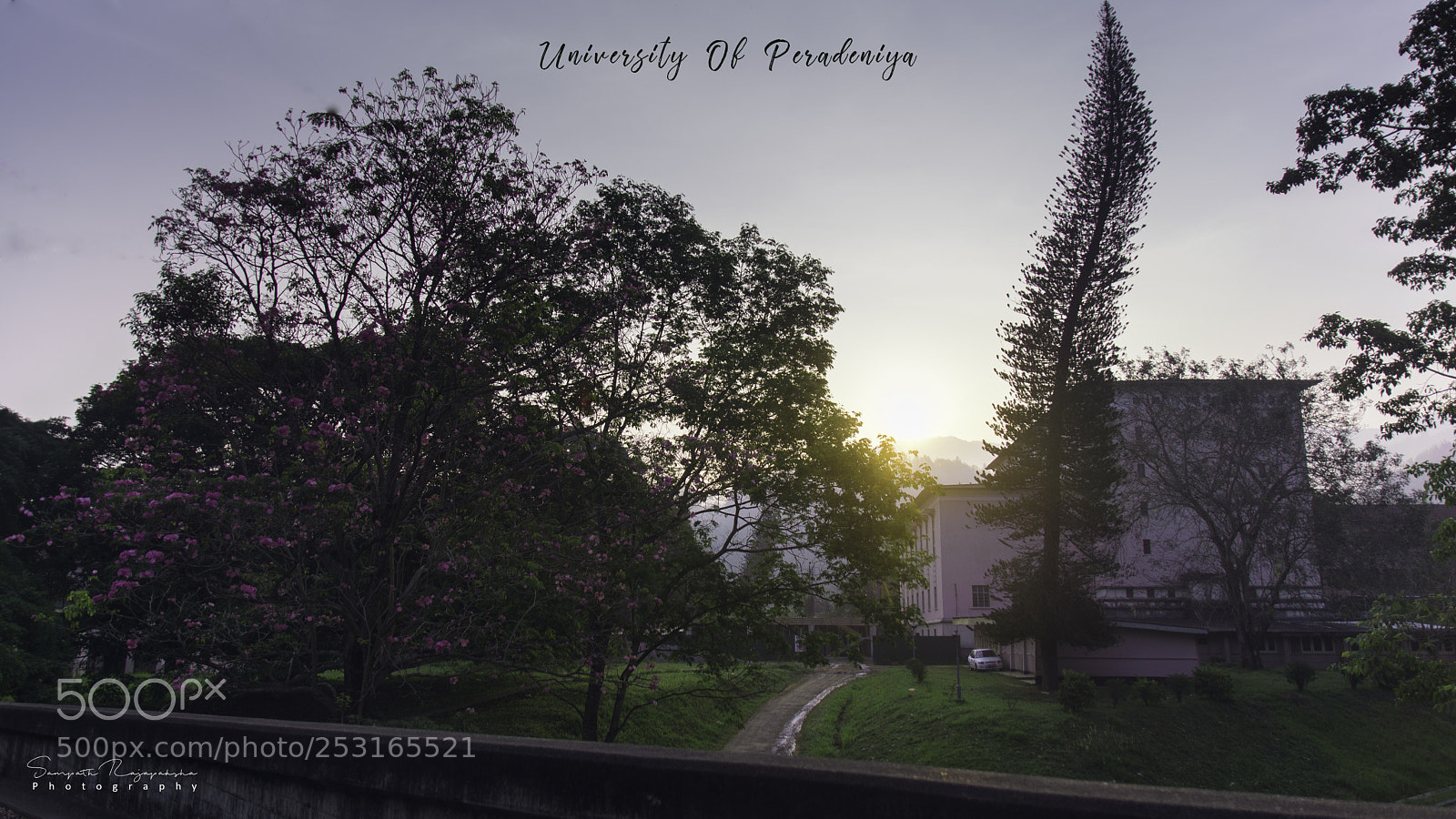 Nikon D7100 sample photo. Green university photography