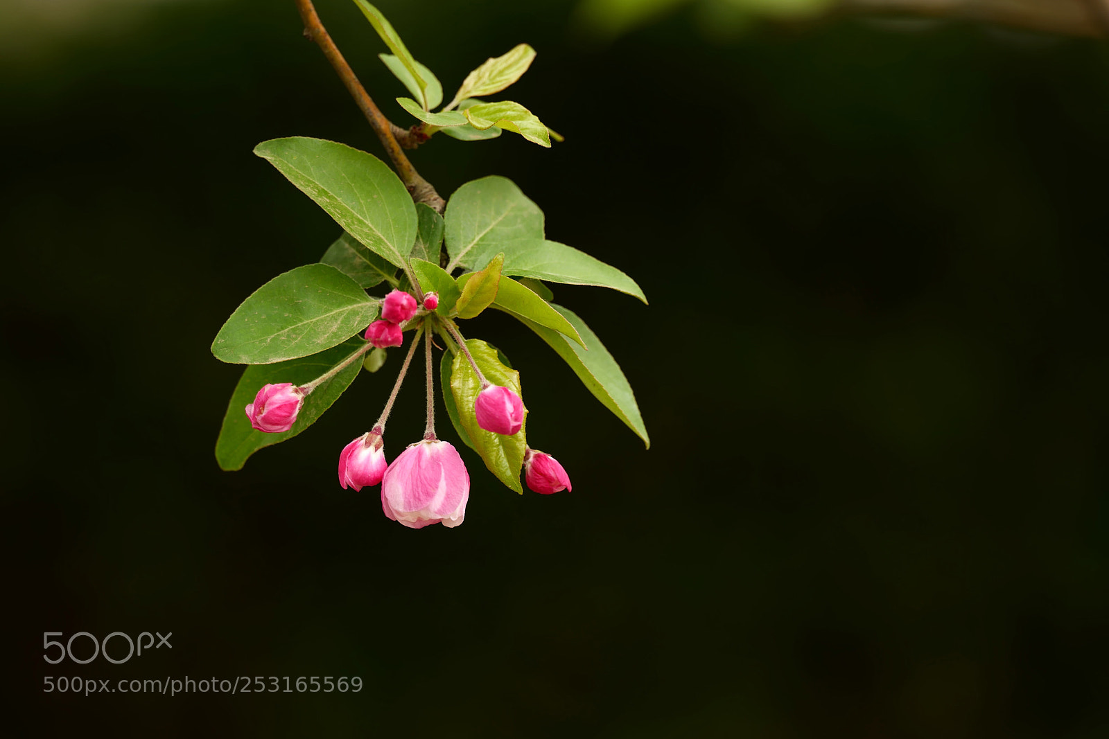 Leica SL (Typ 601) sample photo. Untitled photography