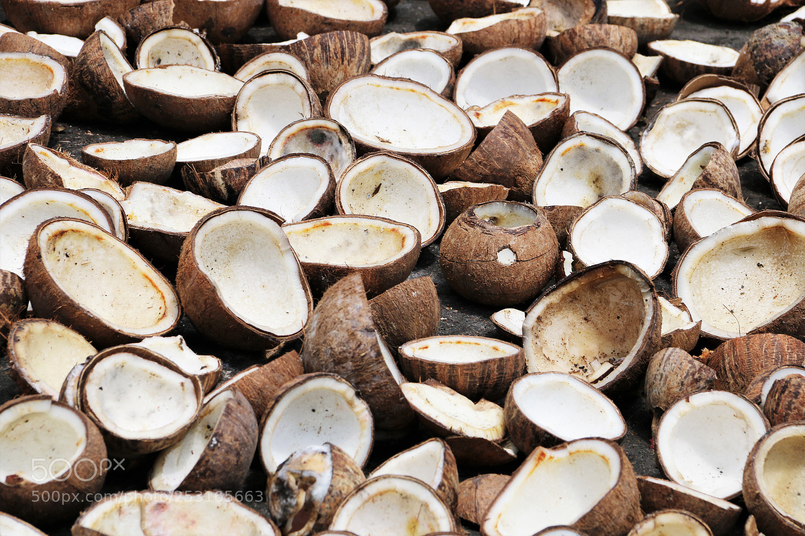 Canon EOS 70D sample photo. Coconuts photography