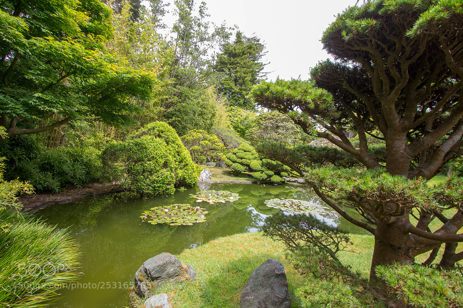 Canon EOS 600D (Rebel EOS T3i / EOS Kiss X5) sample photo. Japanese garden sf1 photography