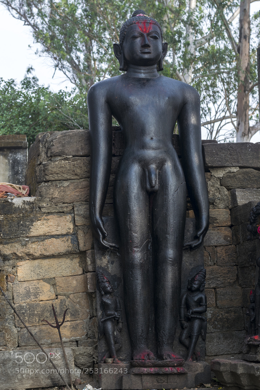 Nikon D3300 sample photo. Untitled photography