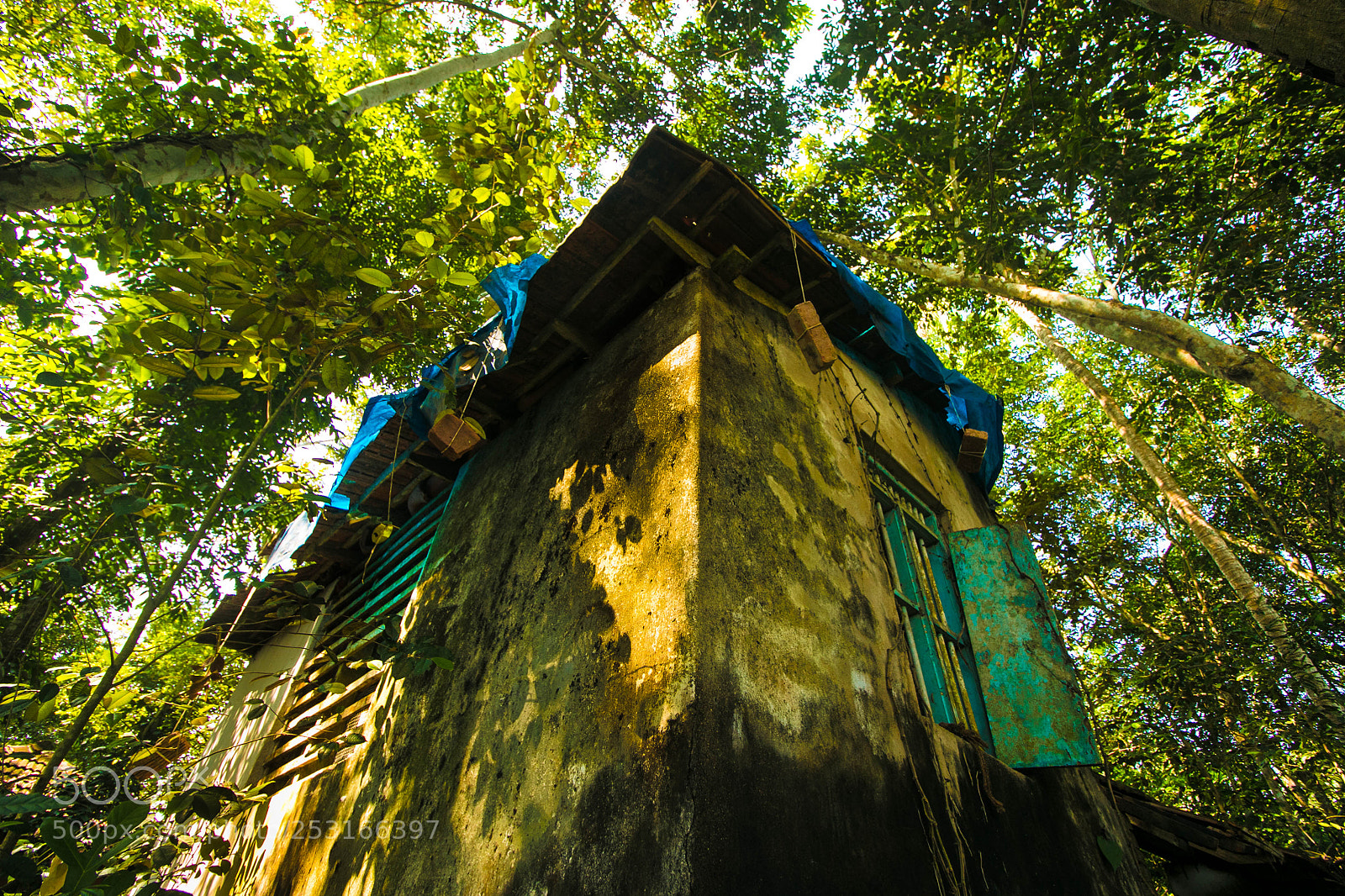 Canon EOS 70D sample photo. Forest tribe. photography