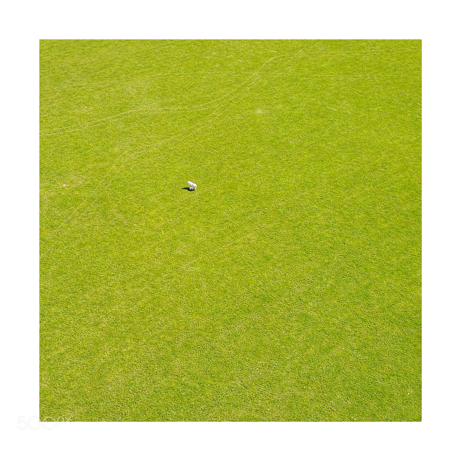 DJI FC220 sample photo. Lost photography