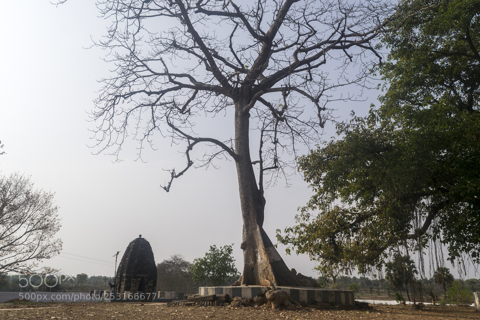 Nikon D3300 sample photo. Untitled photography