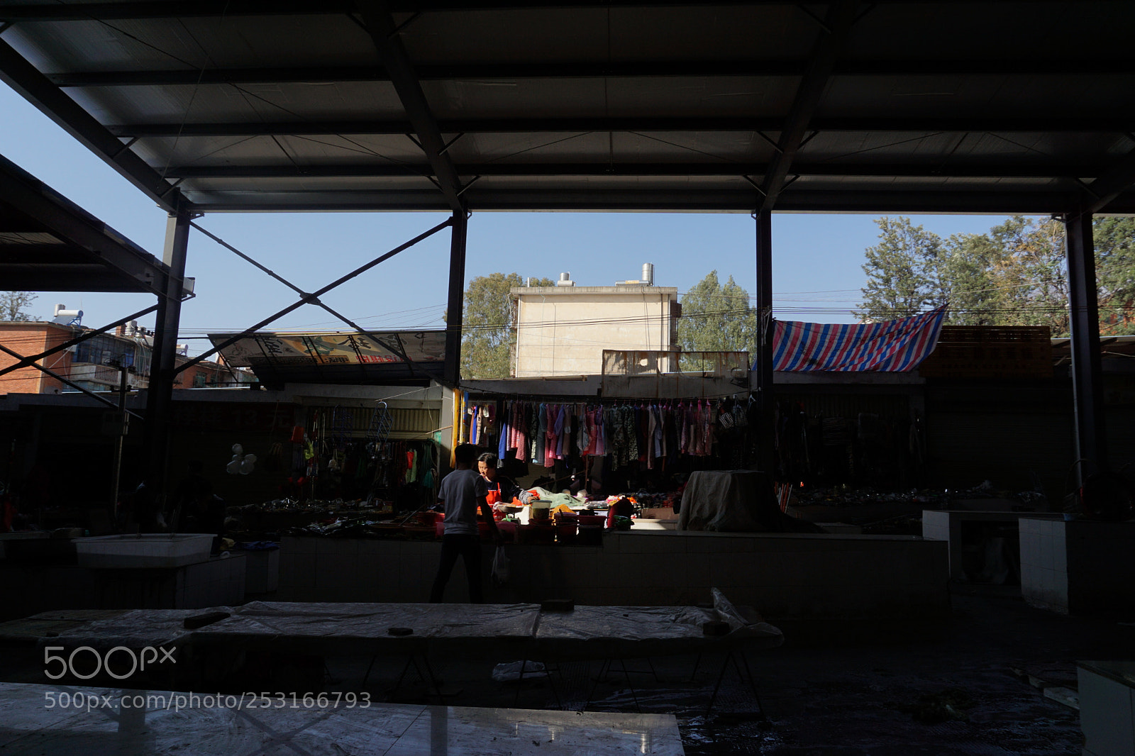 Sony a5100 sample photo. Untitled photography