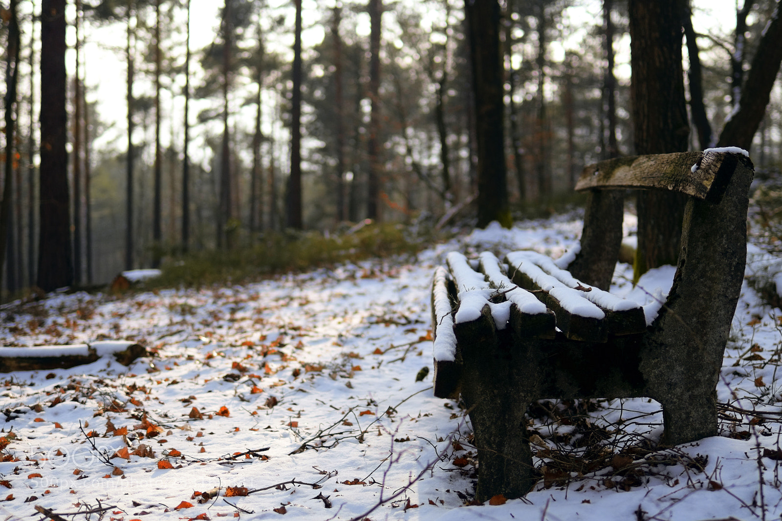 Nikon D7500 sample photo. A bench in the photography