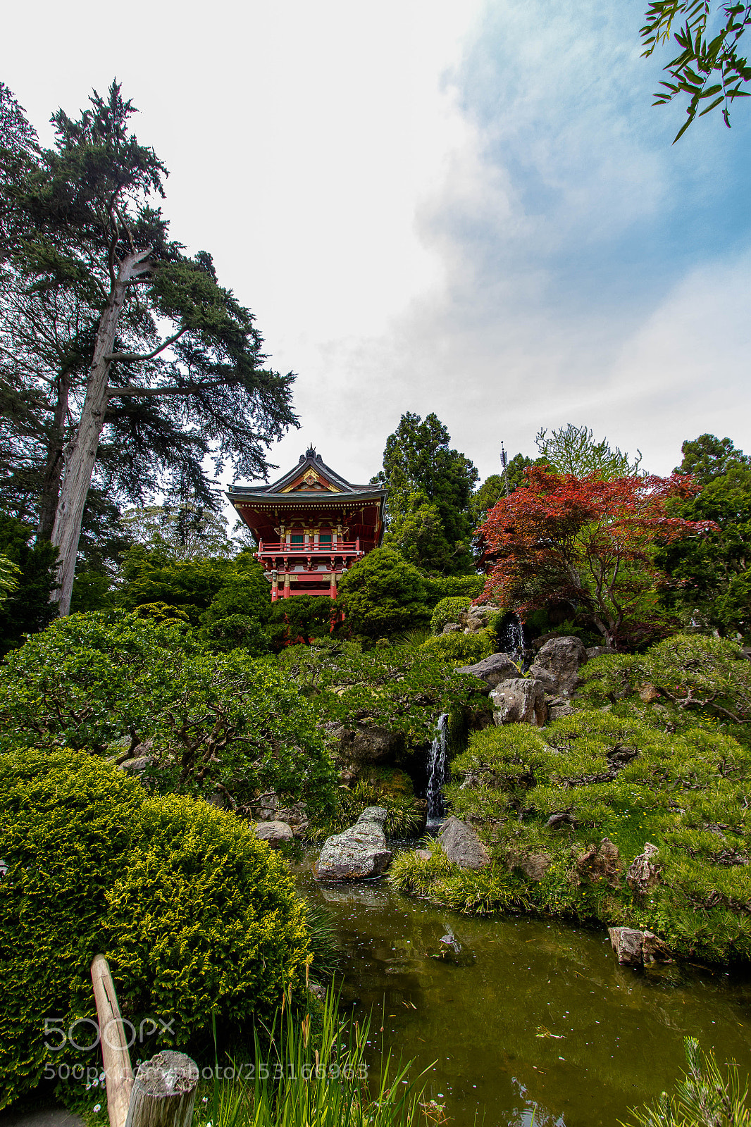 Canon EOS 600D (Rebel EOS T3i / EOS Kiss X5) sample photo. Japanese garden sf2 photography