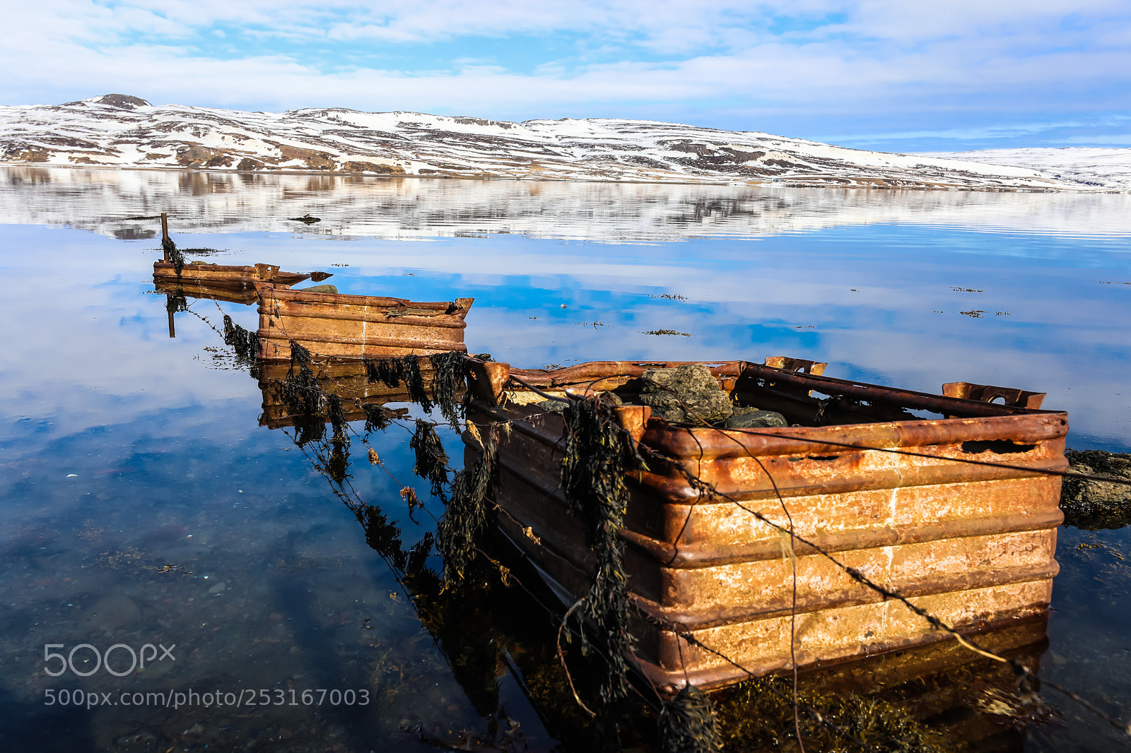 Canon EOS 5D Mark IV sample photo. Reflections photography