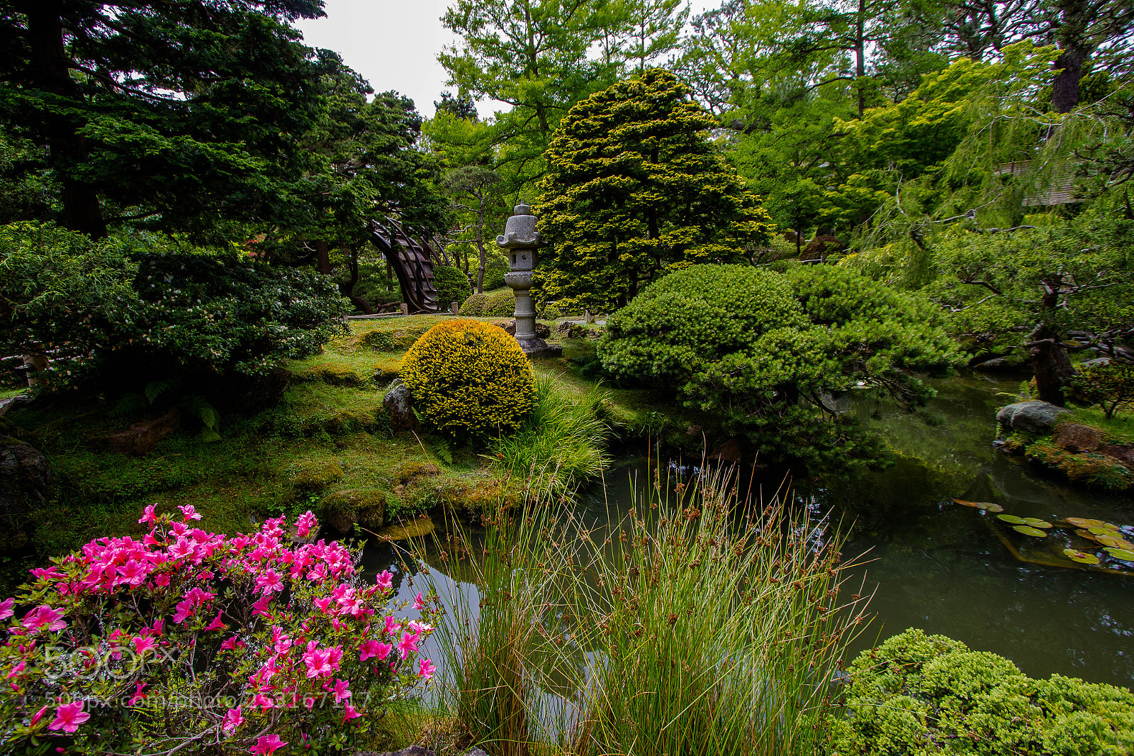 Canon EOS 600D (Rebel EOS T3i / EOS Kiss X5) sample photo. Japanese garden sf 3 photography