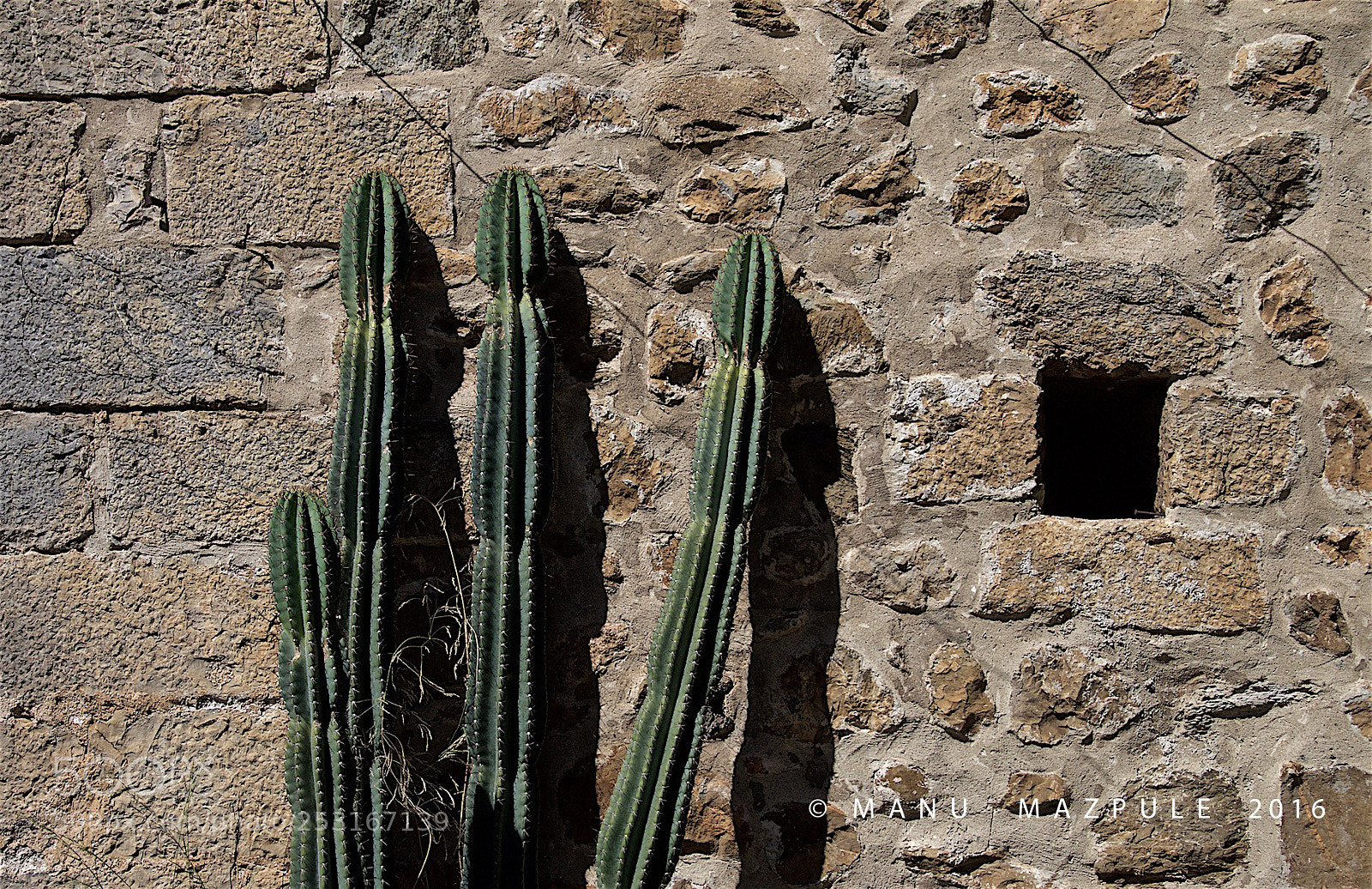 Canon EOS 70D sample photo. 279. girona. catalunya.... photography