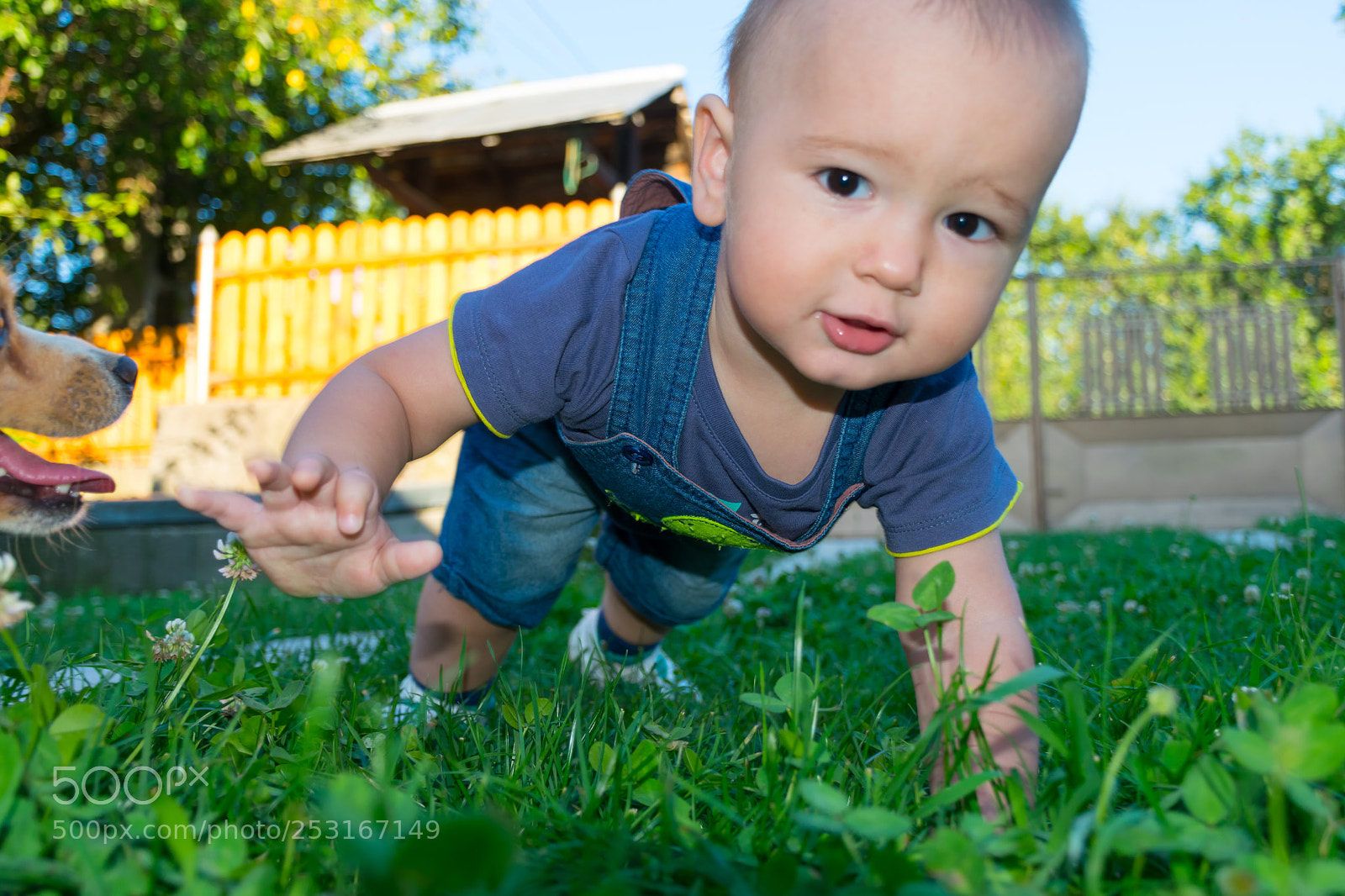 Nikon D5300 sample photo. Denis photography