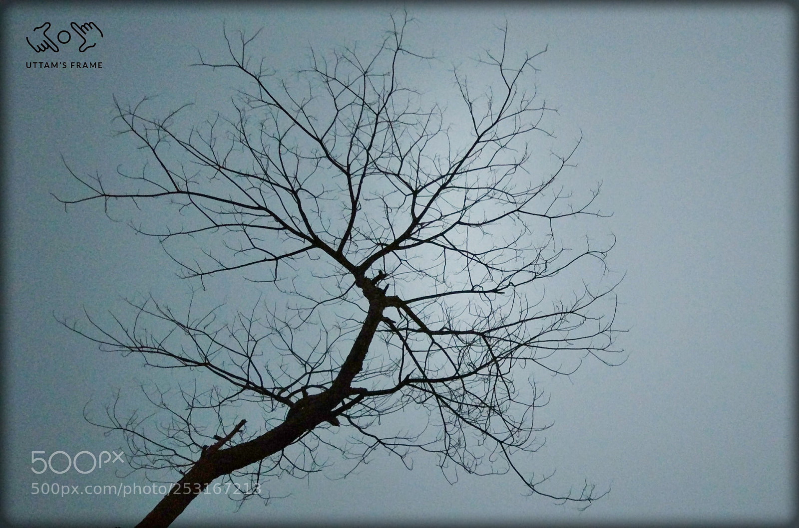 Xiaomi MI 5 sample photo. Untitled photography
