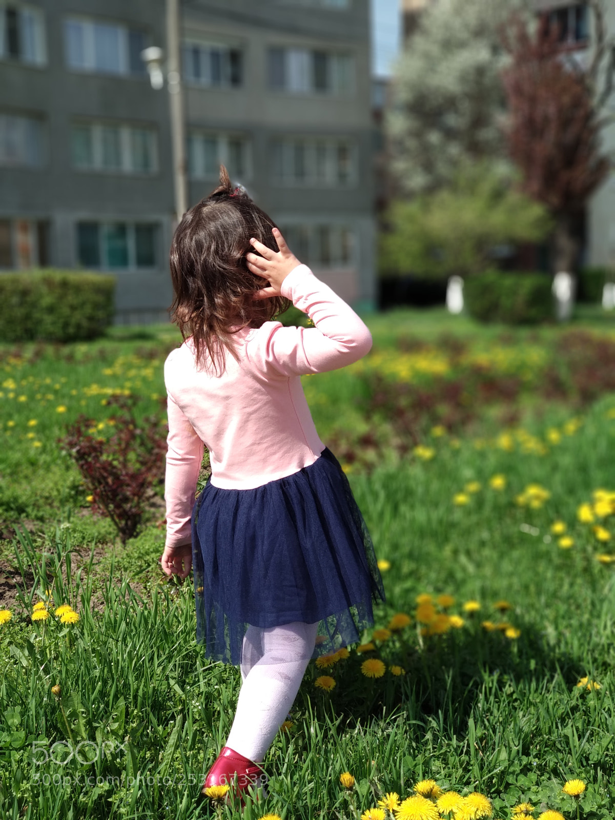 Xiaomi Mi A1 sample photo. Untitled photography