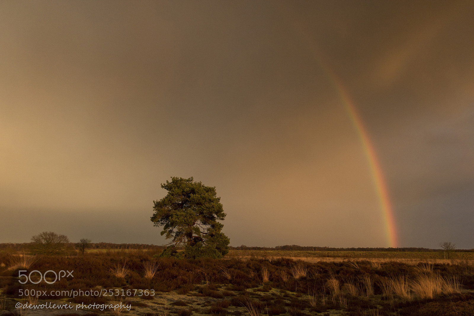 Canon EOS 7D Mark II sample photo. After the rain.. photography