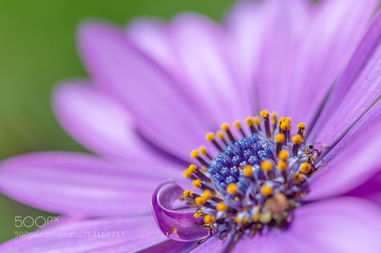 Nikon D7100 sample photo. Same photography