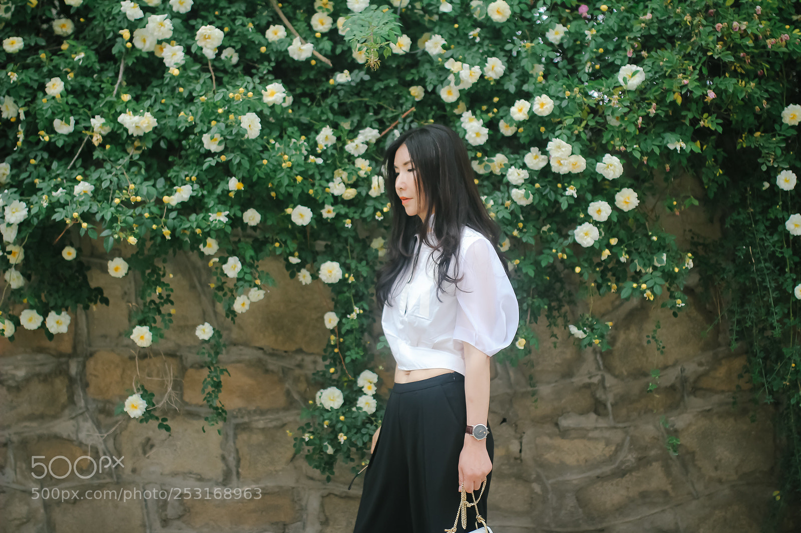 Canon EOS 60D sample photo. 荼蘼 photography