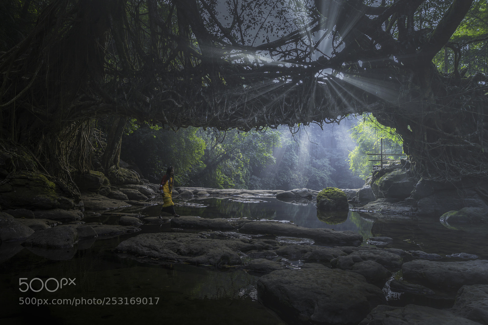 Sony a7 II sample photo. Rays_dsc0191.jpg photography