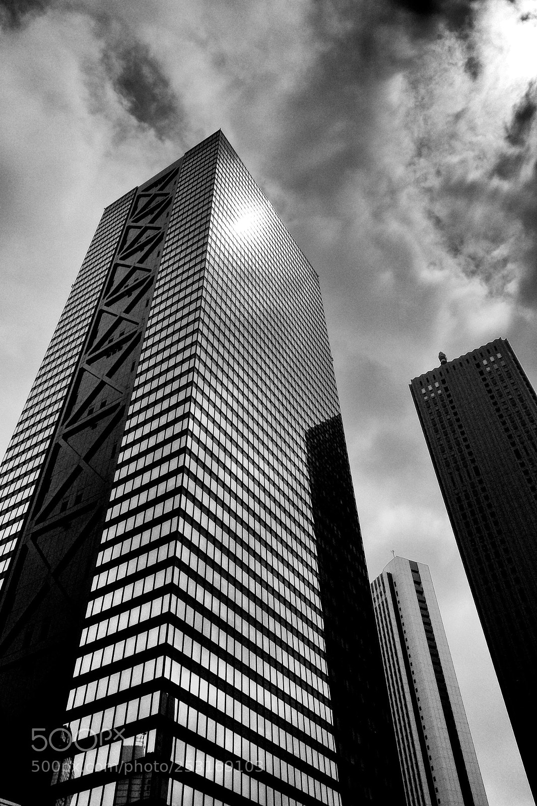 Fujifilm X20 sample photo. Towering photography