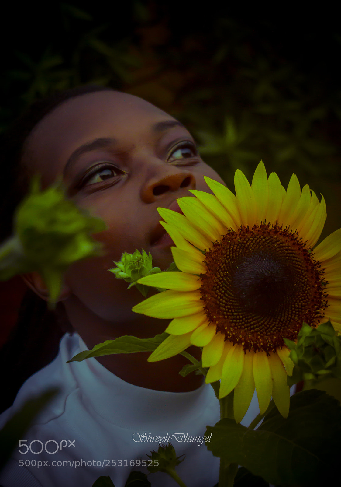 Nikon D3200 sample photo. Melaninvariation photography