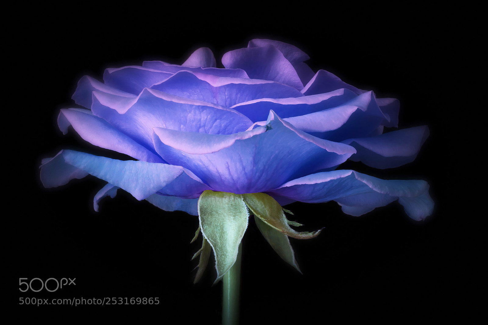 Canon EOS 60D sample photo. Into the blues photography