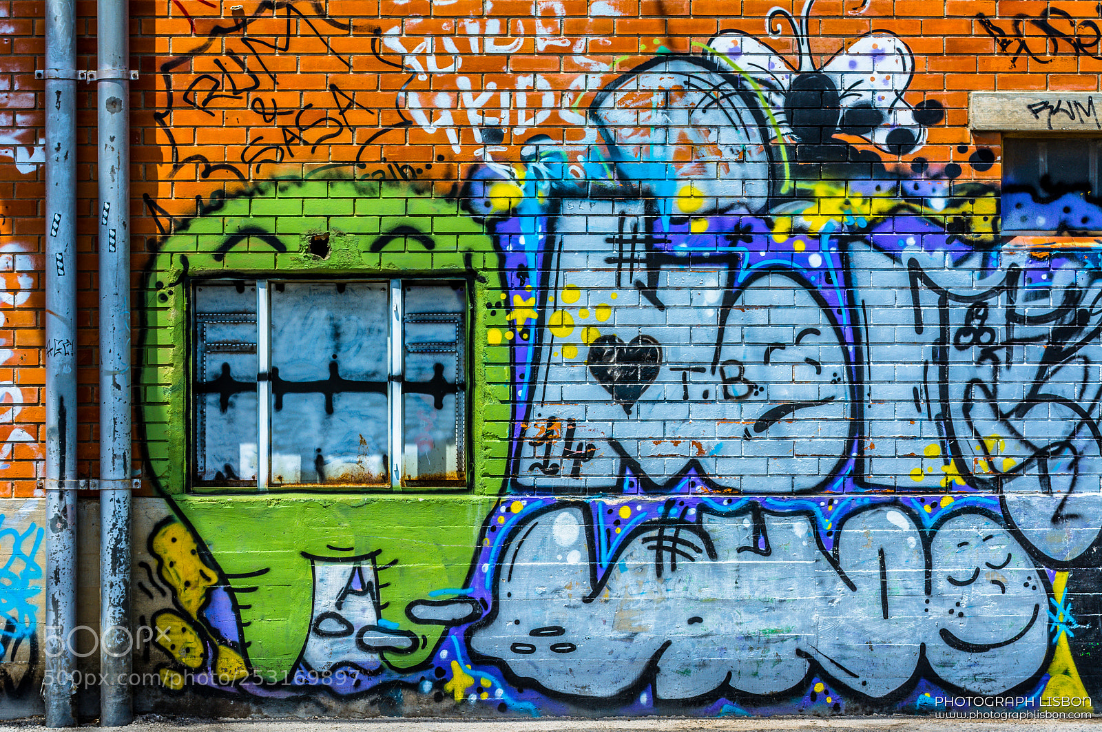 Nikon D7100 sample photo. Wall painting photography