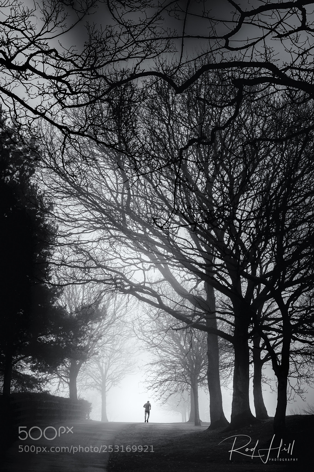 Pentax K-3 sample photo. The lone runner photography