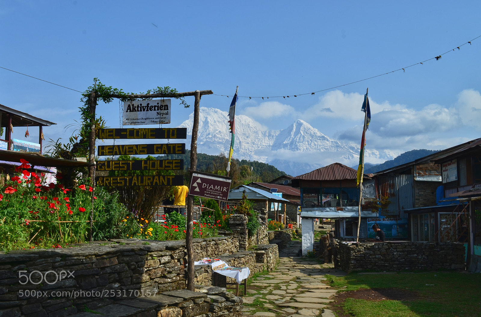 Nikon D5100 sample photo. Pothana village photography