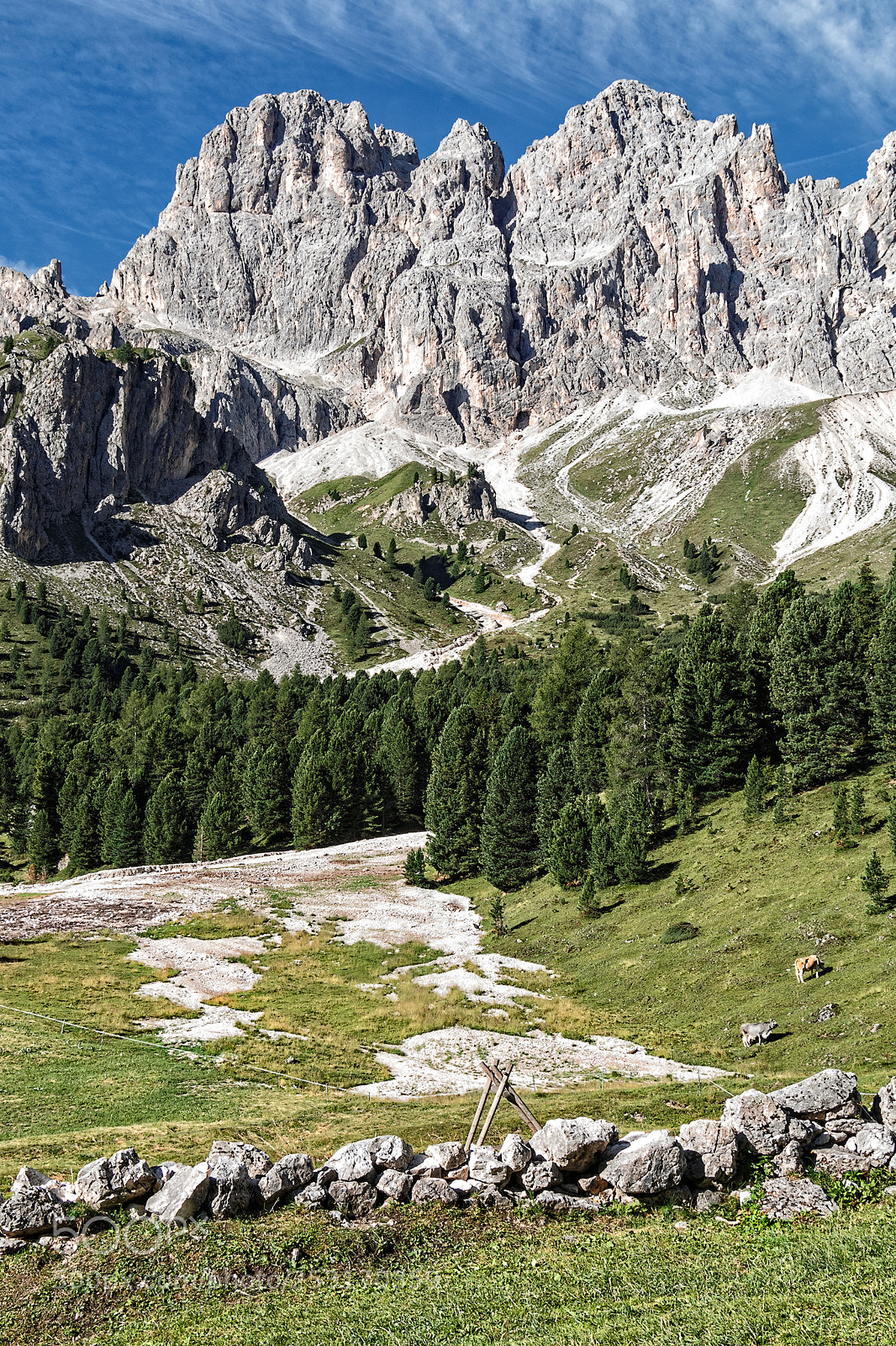 Canon EOS 70D sample photo. I mugoni, dolomiti photography