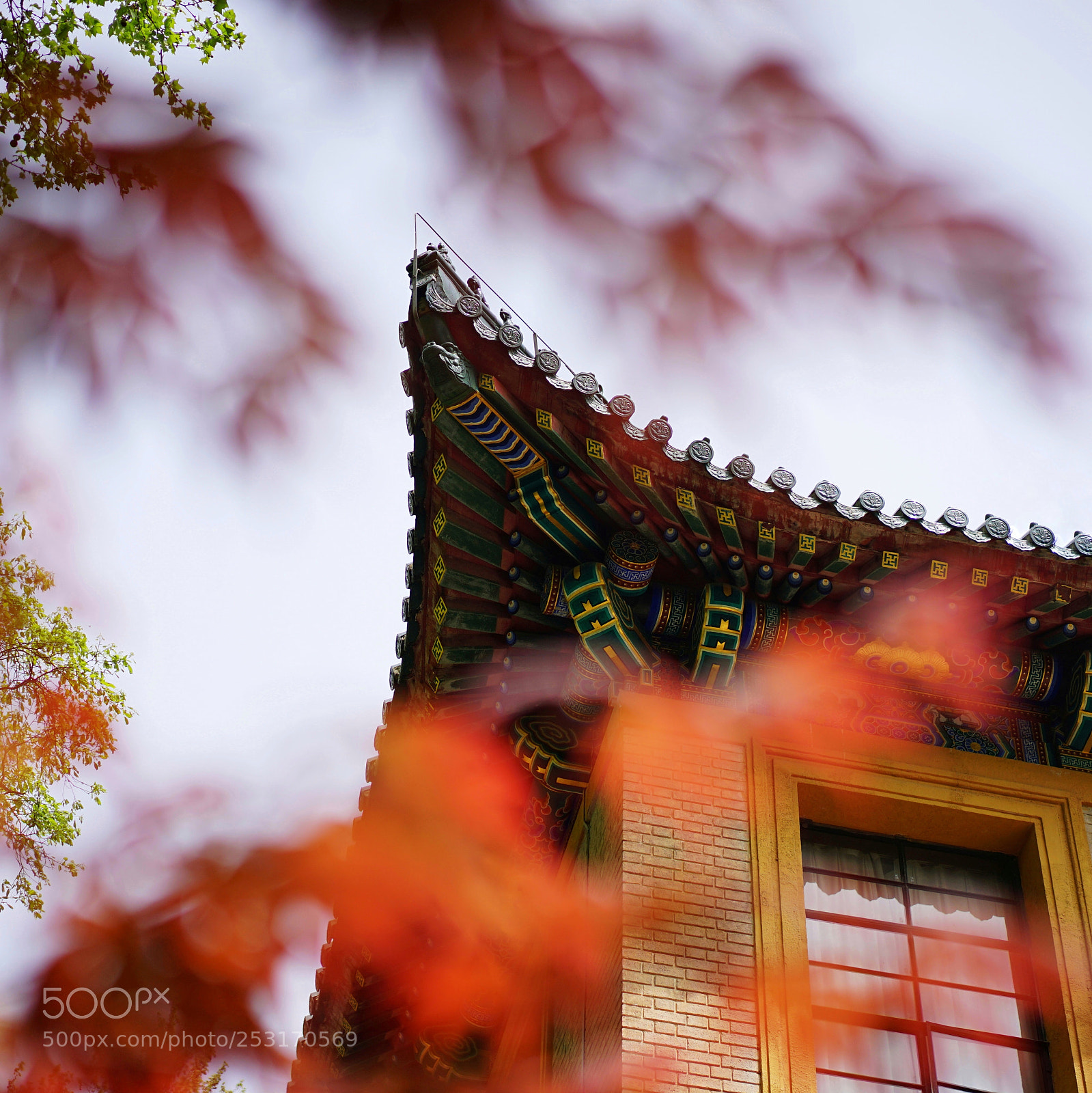 Sony a7 II sample photo. 檐 photography