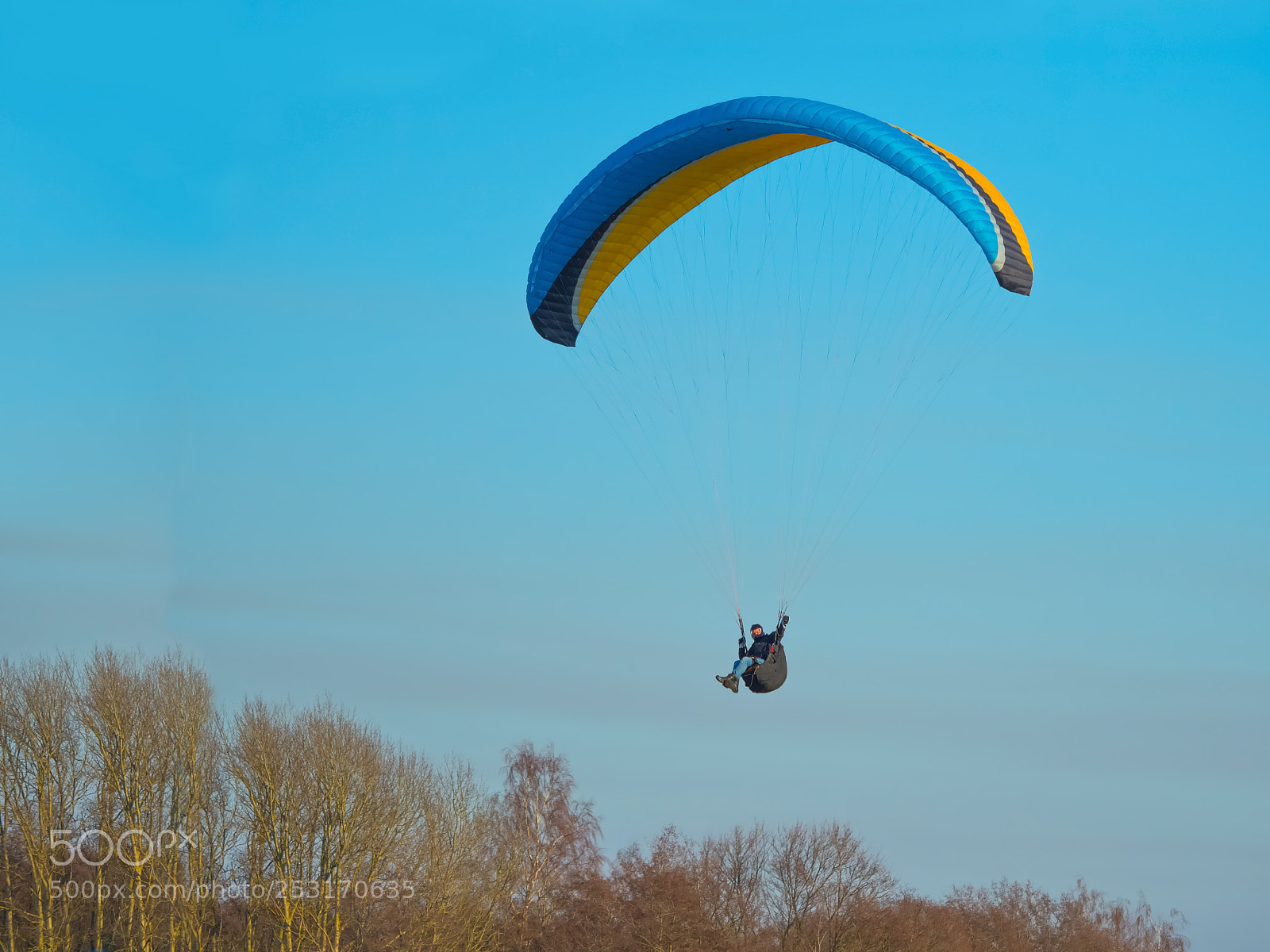 Olympus OM-D E-M5 II sample photo. To fly on a photography