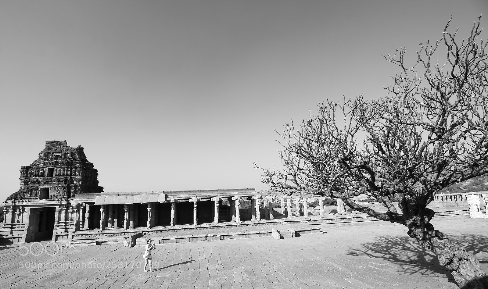 Canon EOS 70D sample photo. Click time photography