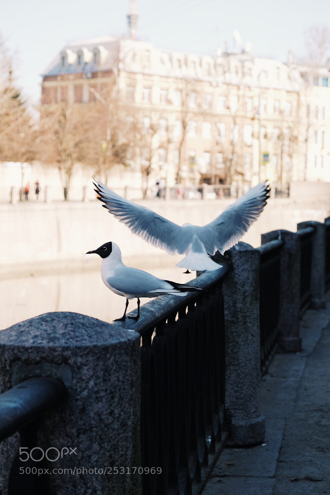 Fujifilm X-T1 sample photo. St.petersburg photography