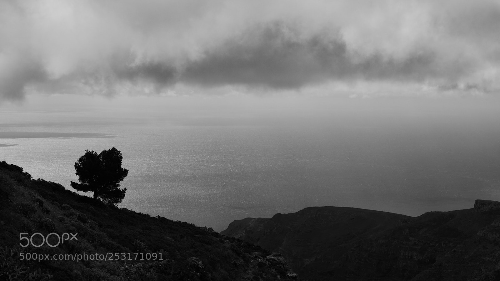 Canon EOS 80D sample photo. Lonely tree photography