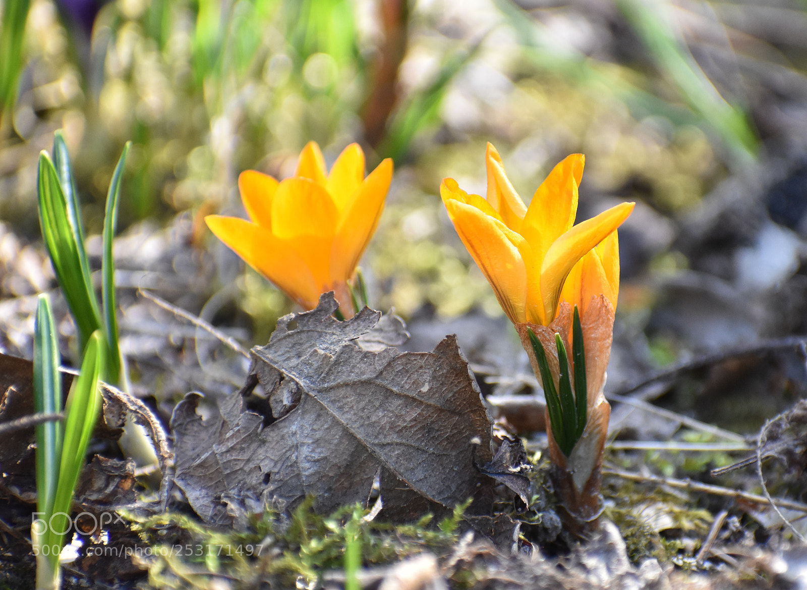Nikon D3400 sample photo. Untitled photography