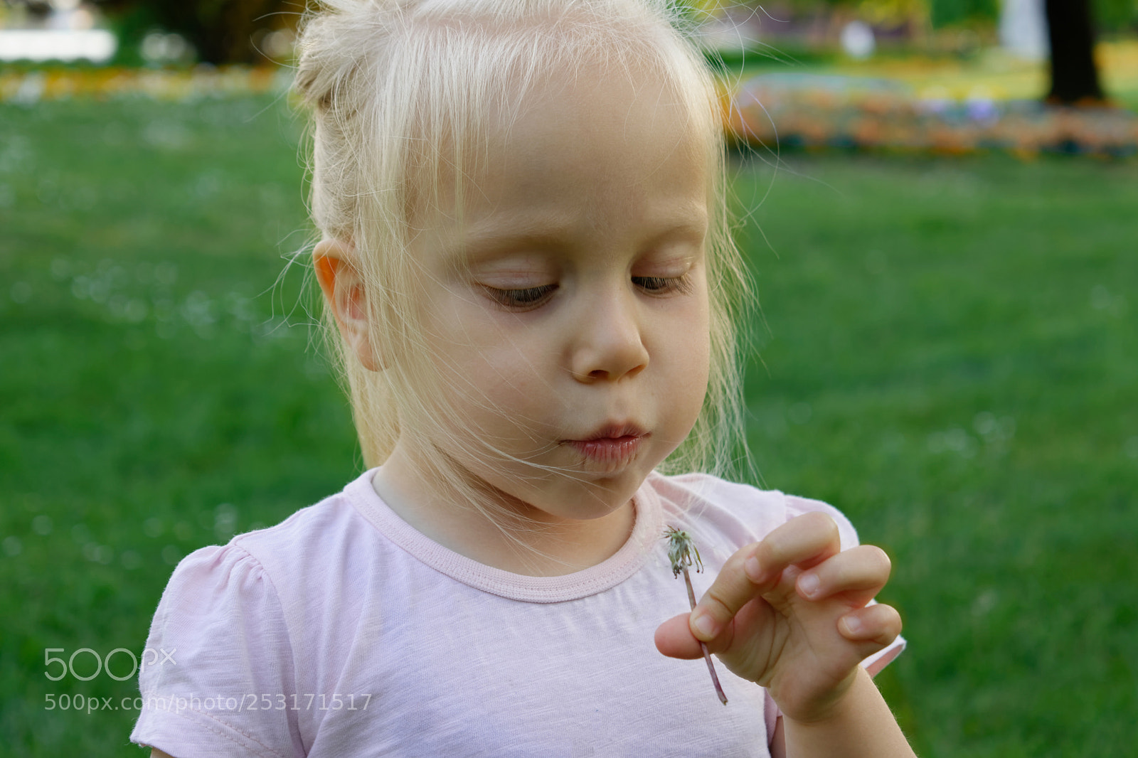 Nikon D3300 sample photo. Little blonde girl with photography