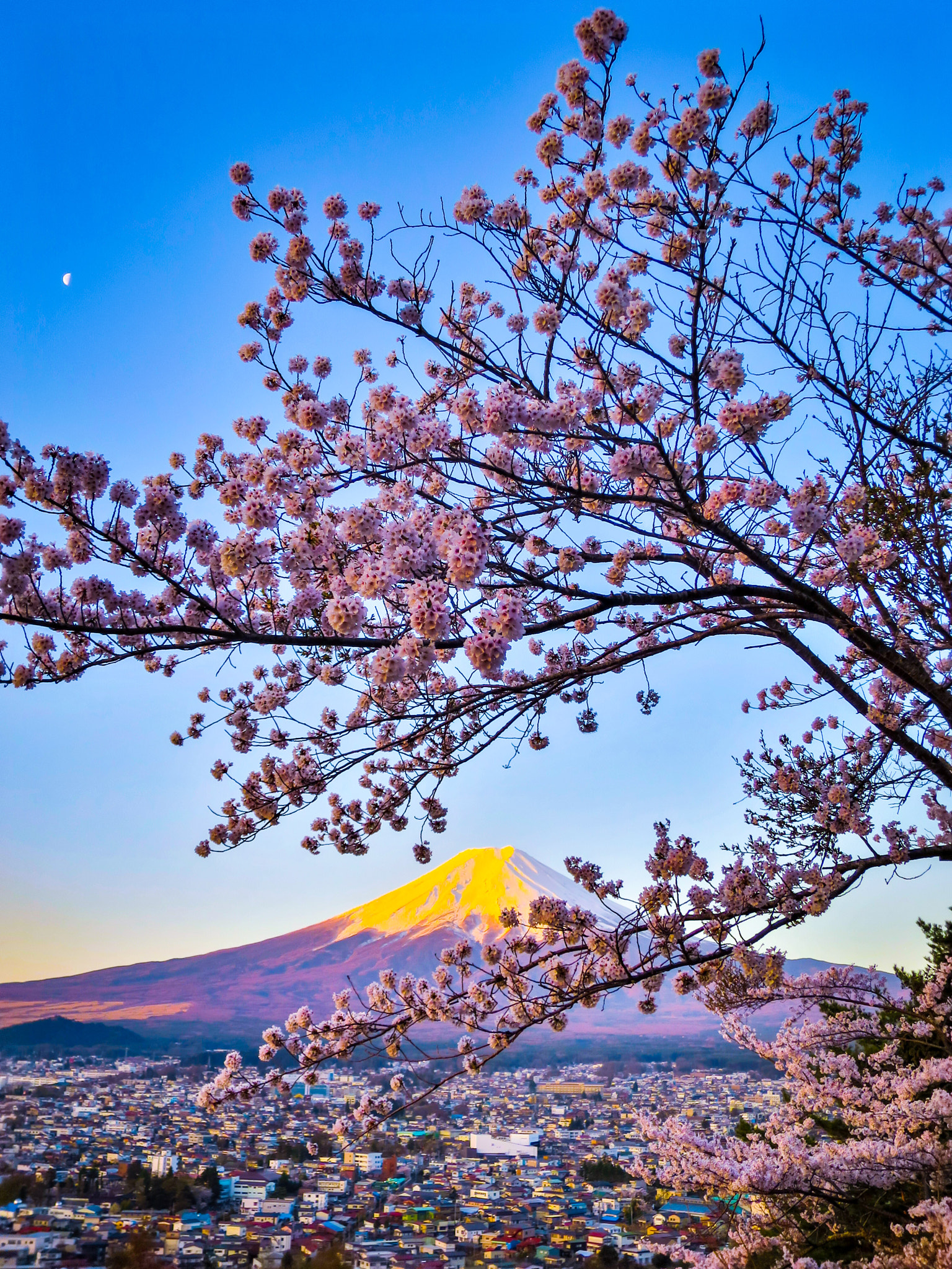 Canon PowerShot S120 sample photo. Moon, mt. fuji and cherry blossoms in full bloom photography