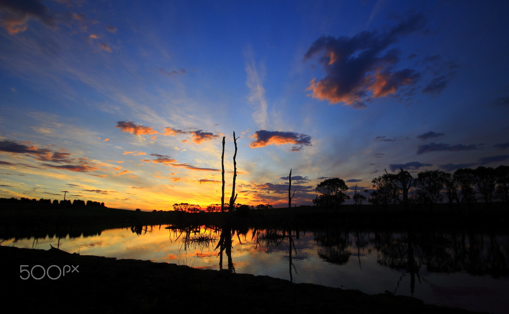 Canon EOS 60D + Sigma 10-20mm F4-5.6 EX DC HSM sample photo. Autumn dusk at forest photography