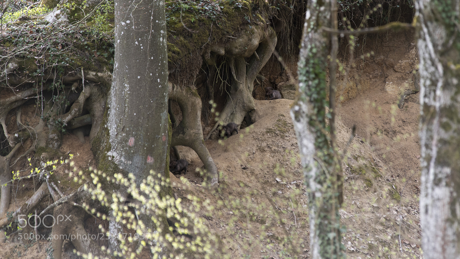 Pentax K-1 sample photo. Little adventurer photography