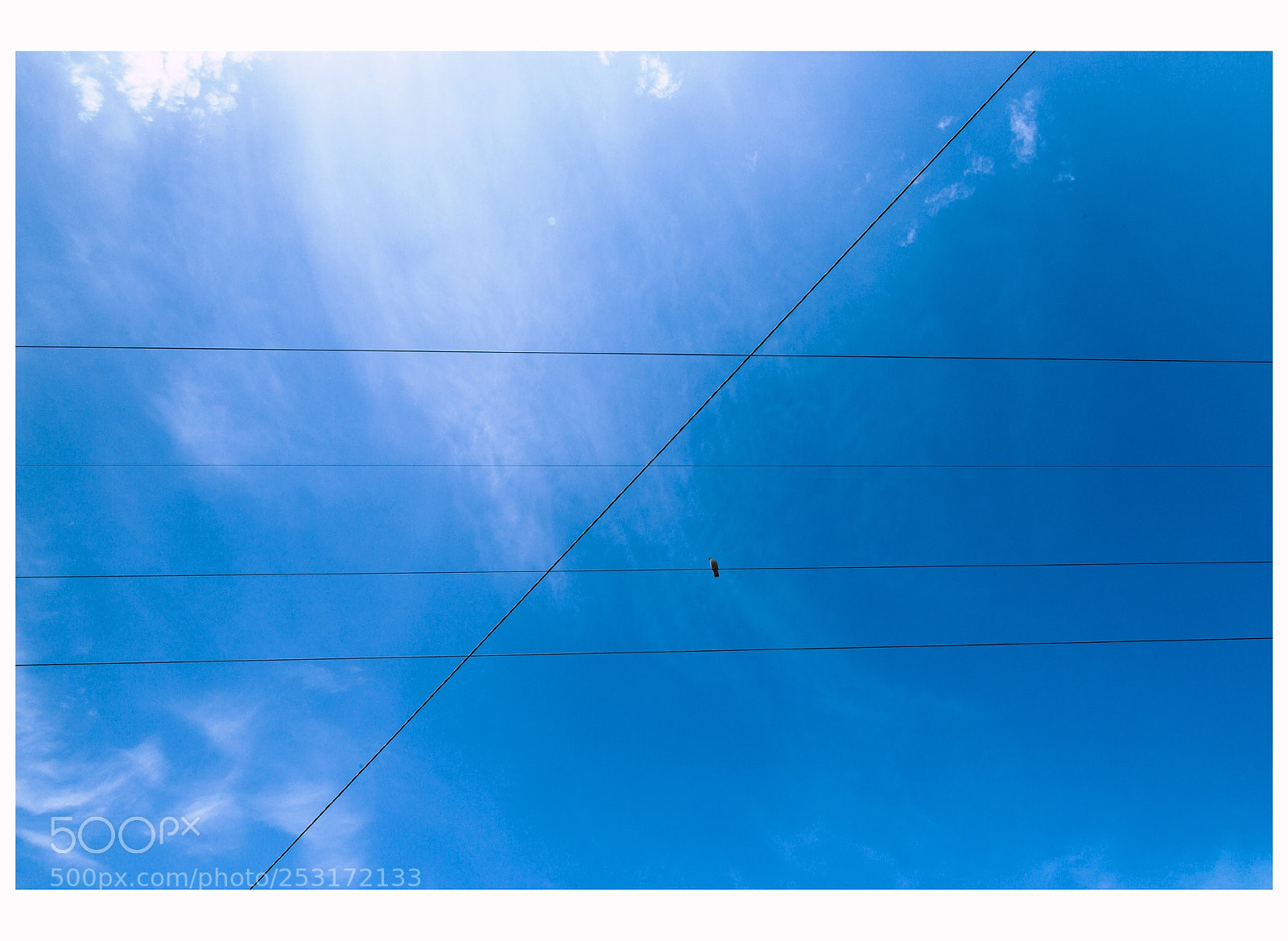Canon EOS 6D Mark II sample photo. Untitled photography