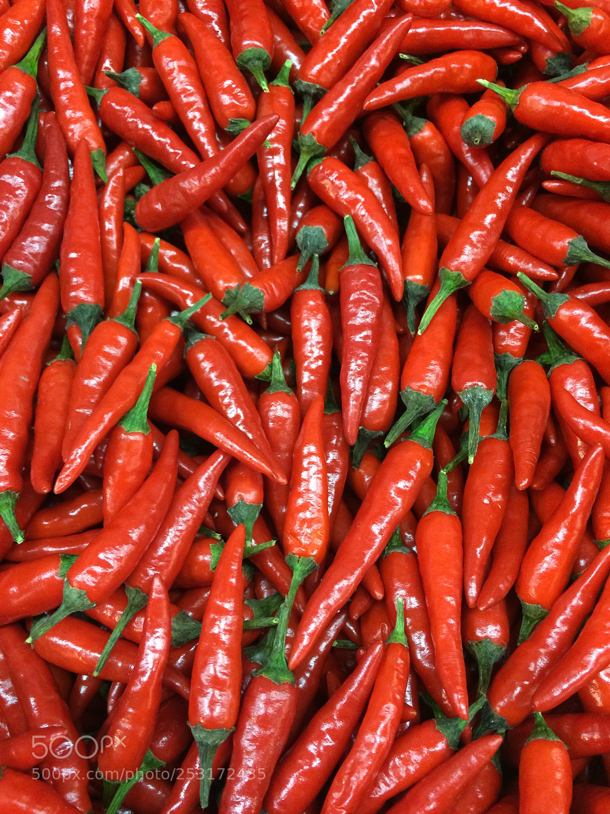 Apple iPhone 5s sample photo. Hot red. photography